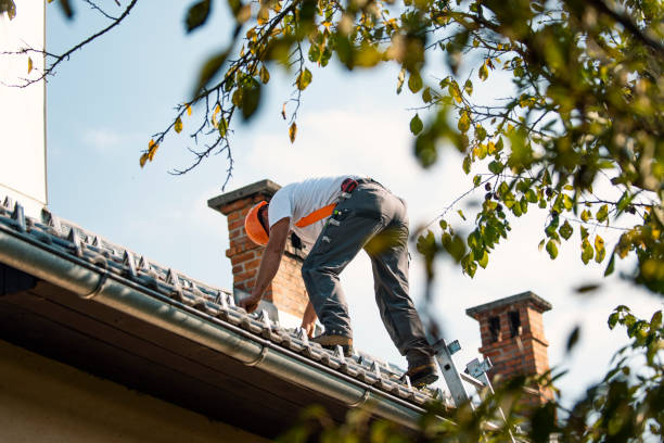 Fast & Reliable Emergency Roof Repairs in Cherokee, IA